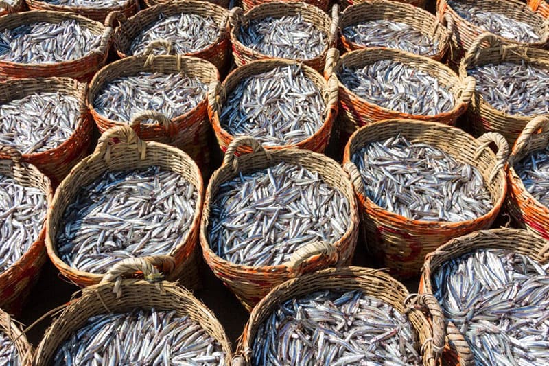 Cá cơm than nguyên liệu làm mắm nêm